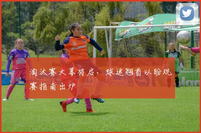 淘汰赛大幕将启，球迷翘首以盼观赛指南出炉