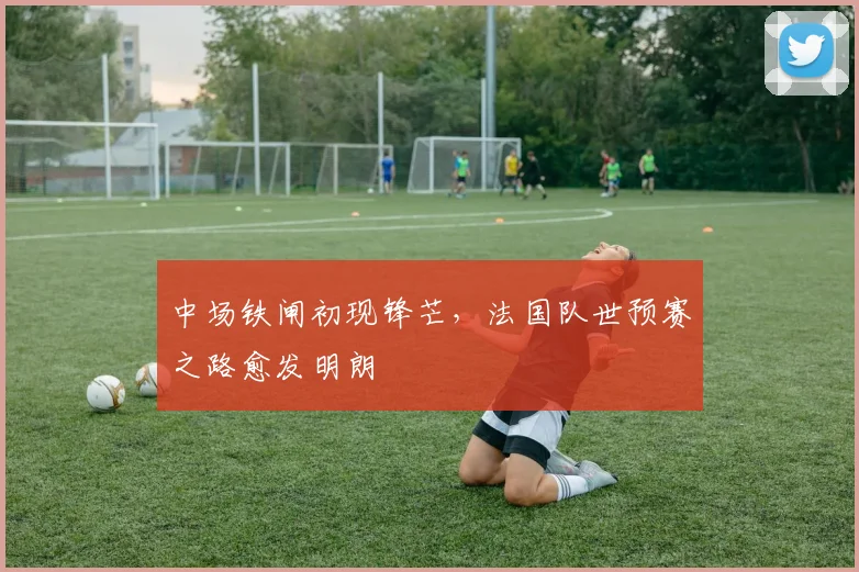 中场铁闸初现锋芒，法国队世预赛之路愈发明朗